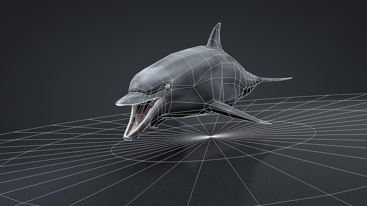 Bottlenose Dolphin Low-poly 3D model_42
