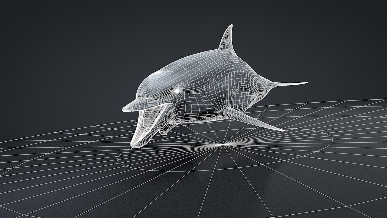 Bottlenose Dolphin Low-poly 3D model_29
