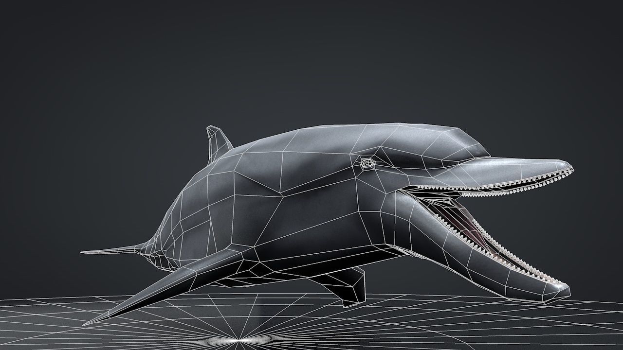 Bottlenose Dolphin Low-poly 3D model_52