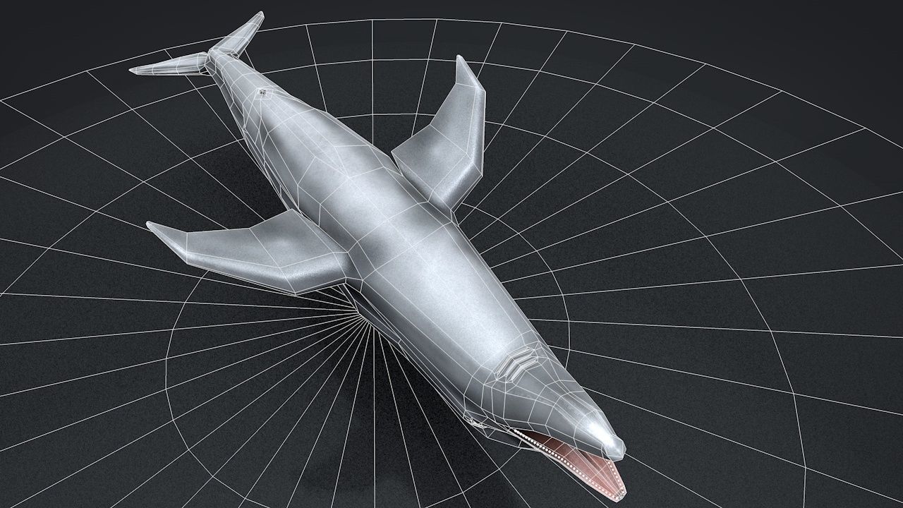 Bottlenose Dolphin Low-poly 3D model_53