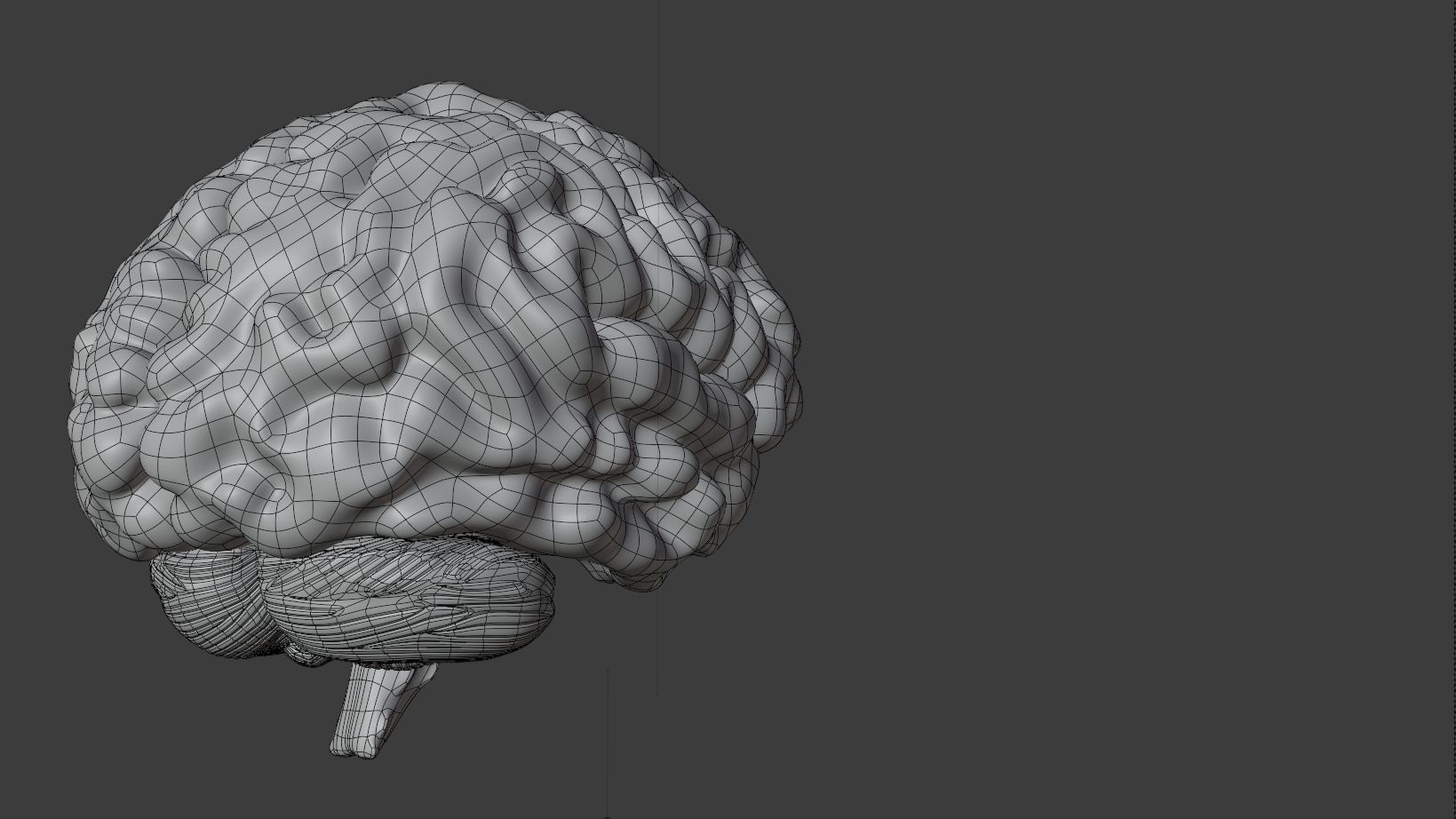 Human Brain 3D Model Low-poly 3D model_11