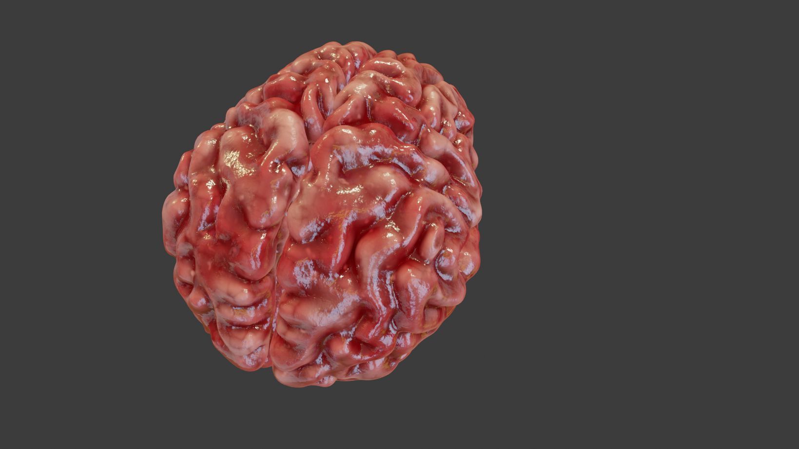 Human Brain 3D Model Low-poly 3D model_3