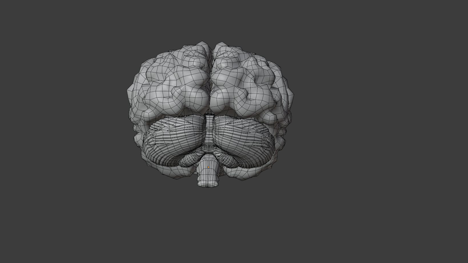 Human Brain 3D Model Low-poly 3D model_13