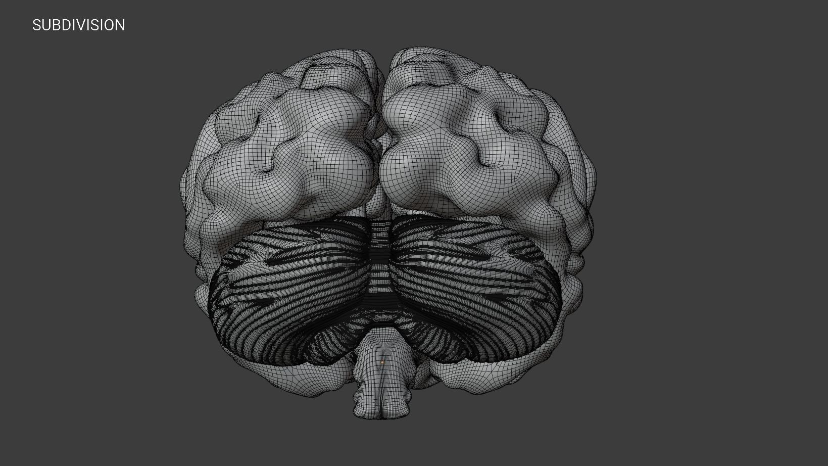 Human Brain 3D Model Low-poly 3D model_18