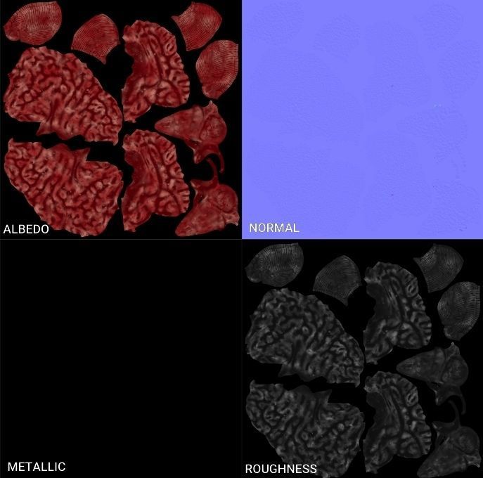 Human Brain 3D Model Low-poly 3D model_16