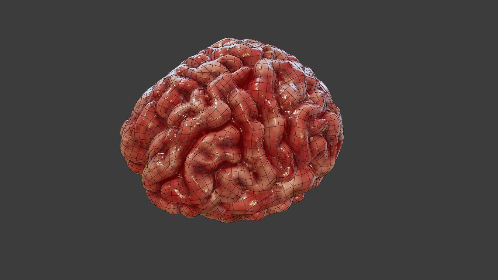 Human Brain 3D Model Low-poly 3D model_9