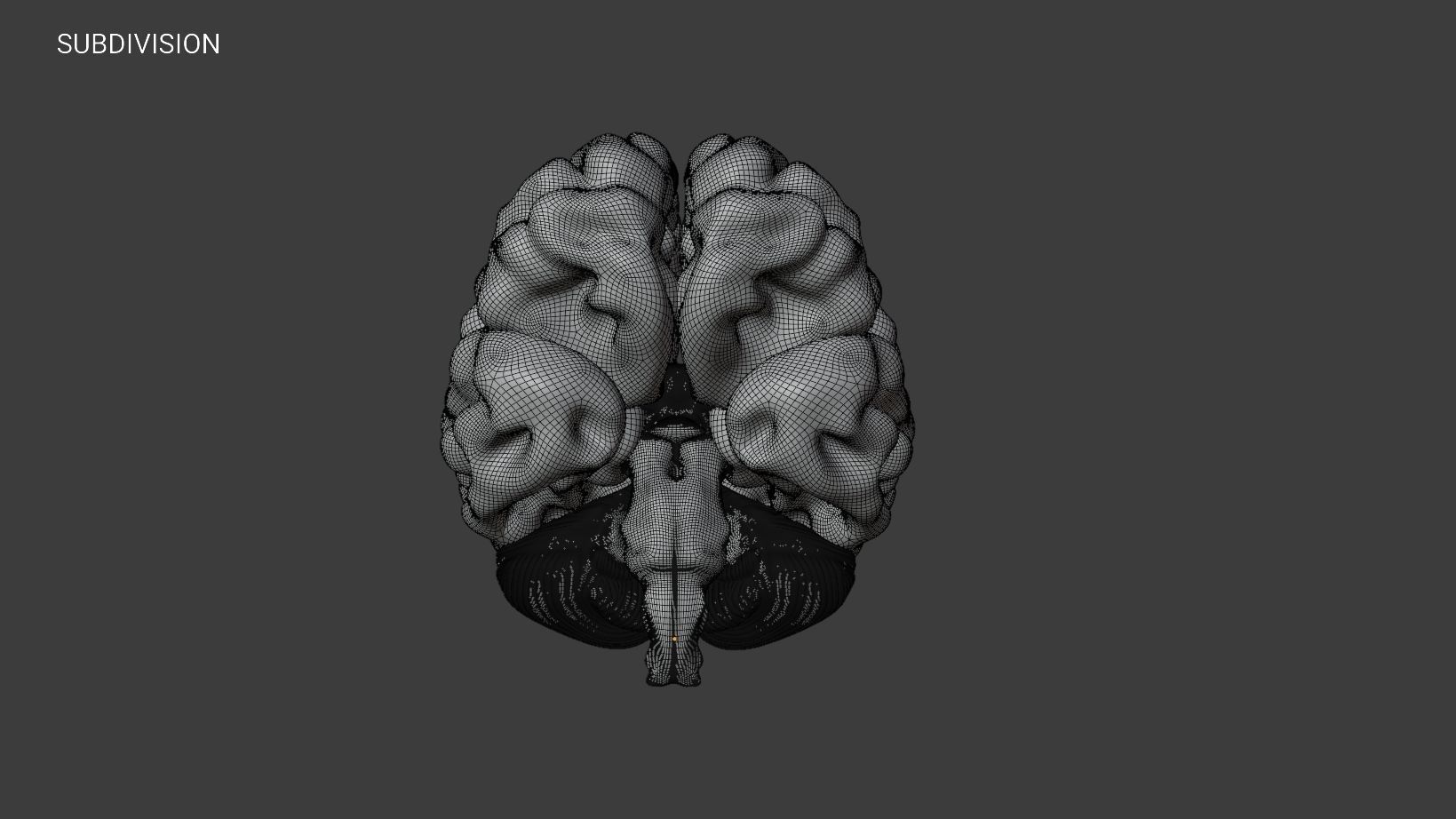 Human Brain 3D Model Low-poly 3D model_17