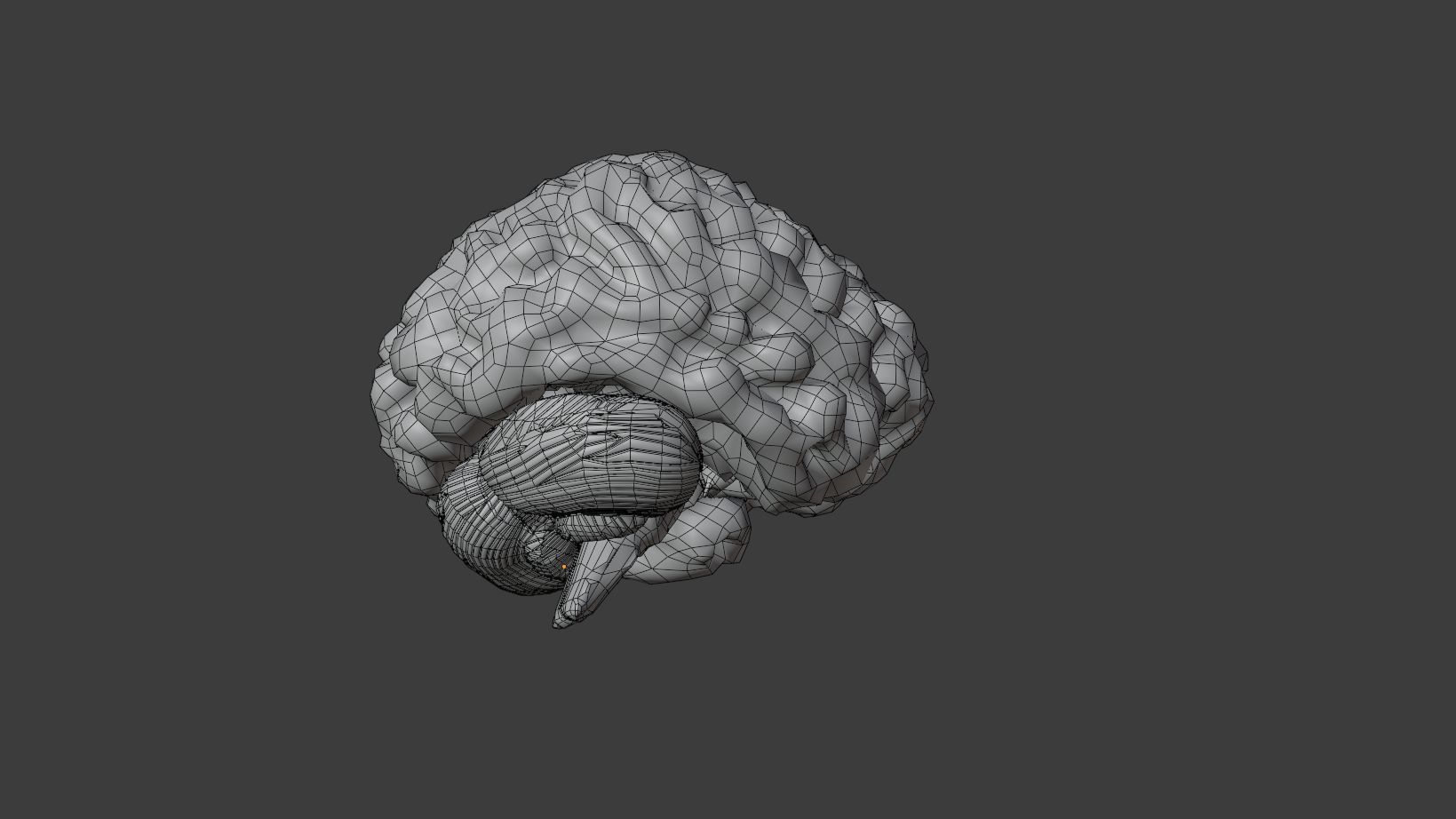 Human Brain 3D Model Low-poly 3D model_12
