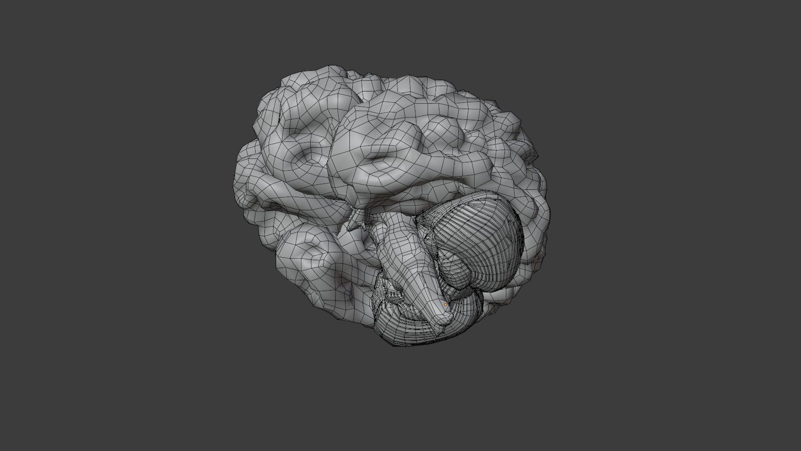 Human Brain 3D Model Low-poly 3D model_14