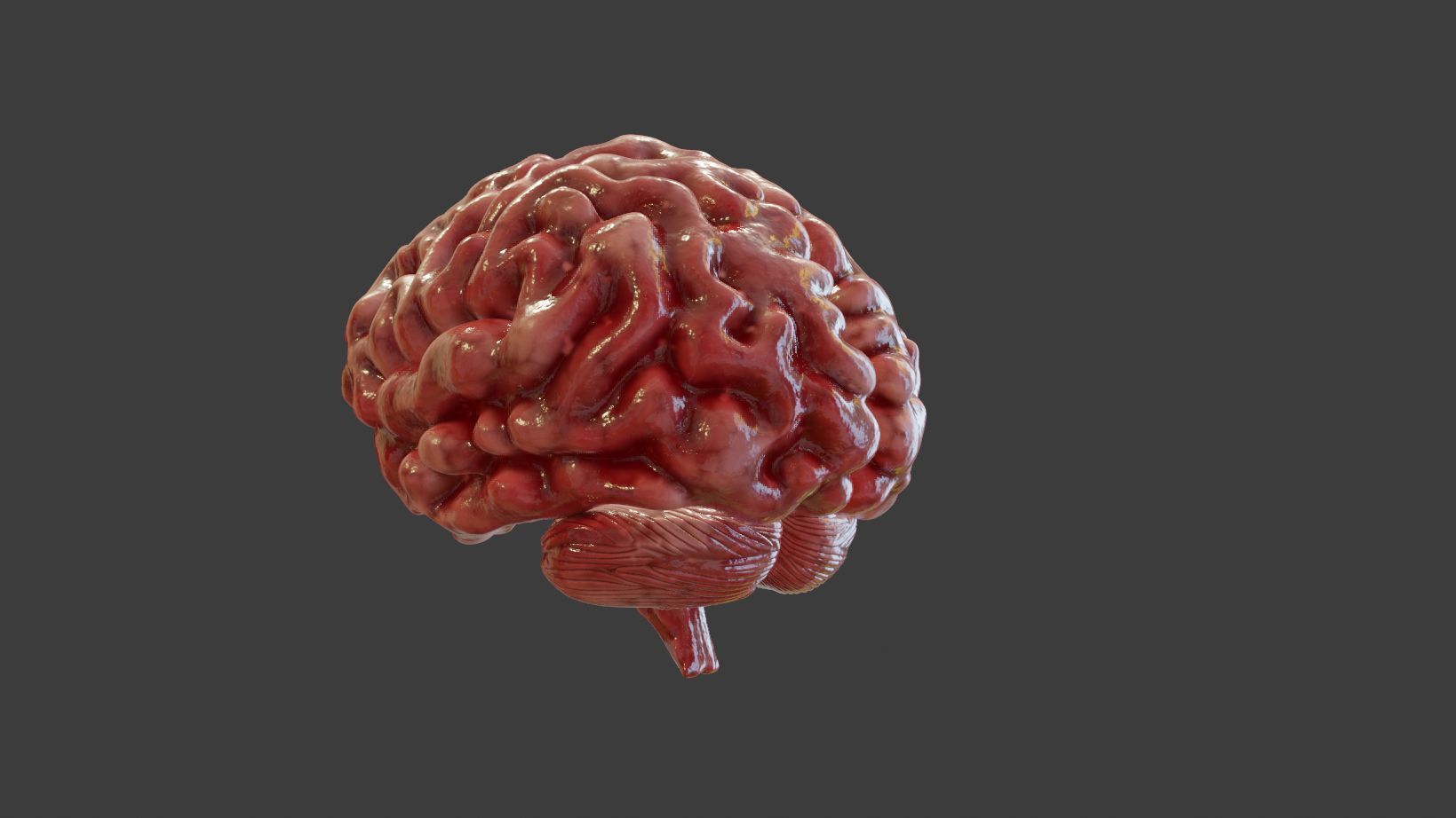 Human Brain 3D Model Low-poly 3D model_4