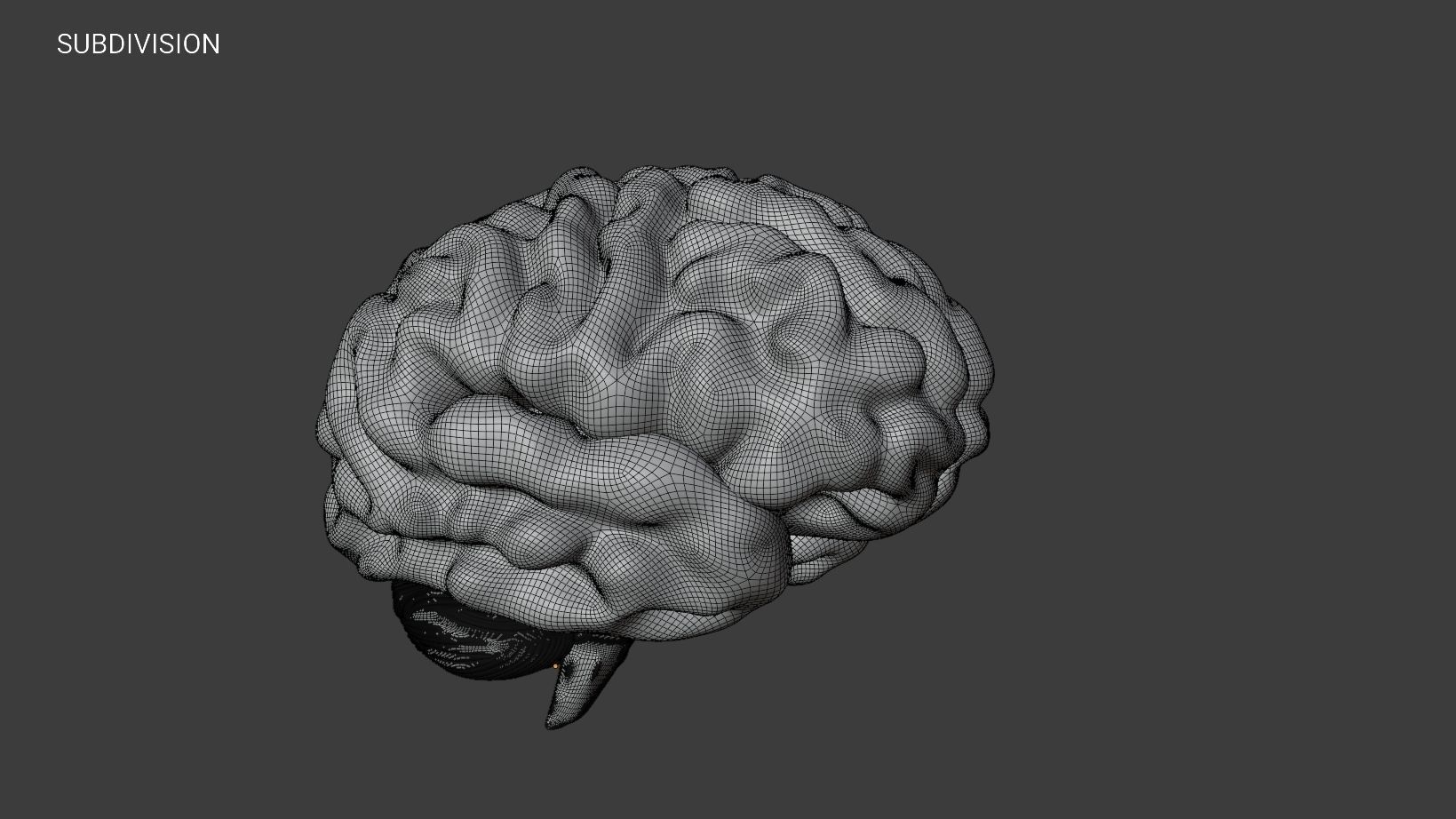 Human Brain 3D Model Low-poly 3D model_19