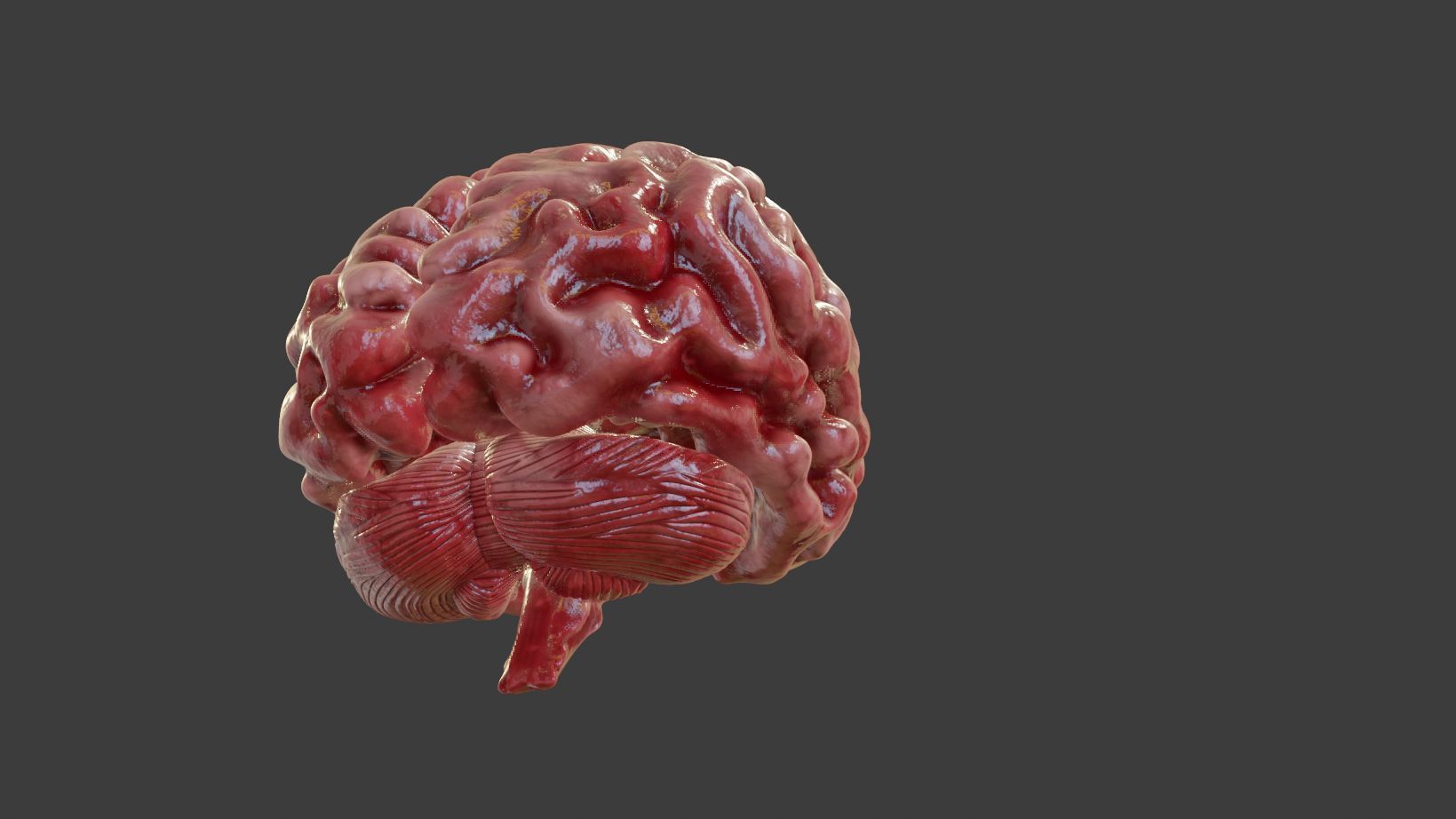 Human Brain 3D Model Low-poly 3D model_1