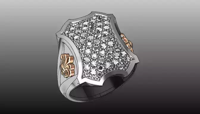 jewellery  ring  37