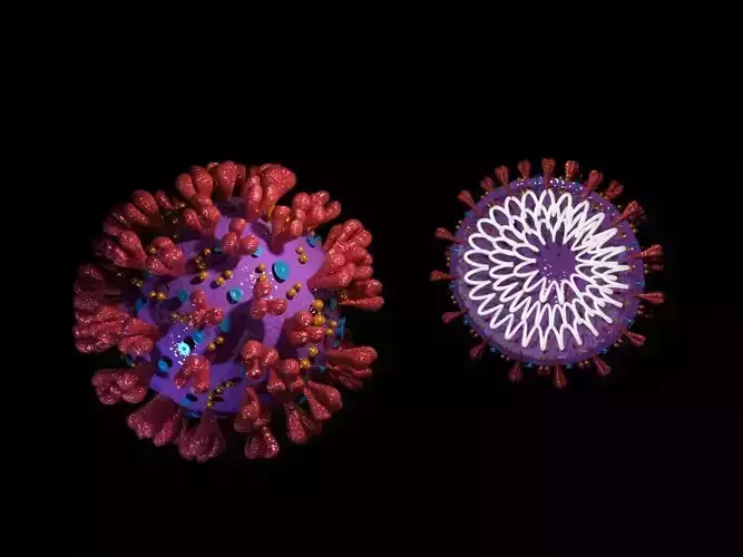 Covid-19 model coronavirus