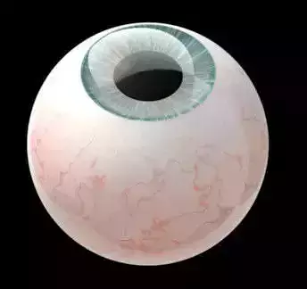 Eyeball