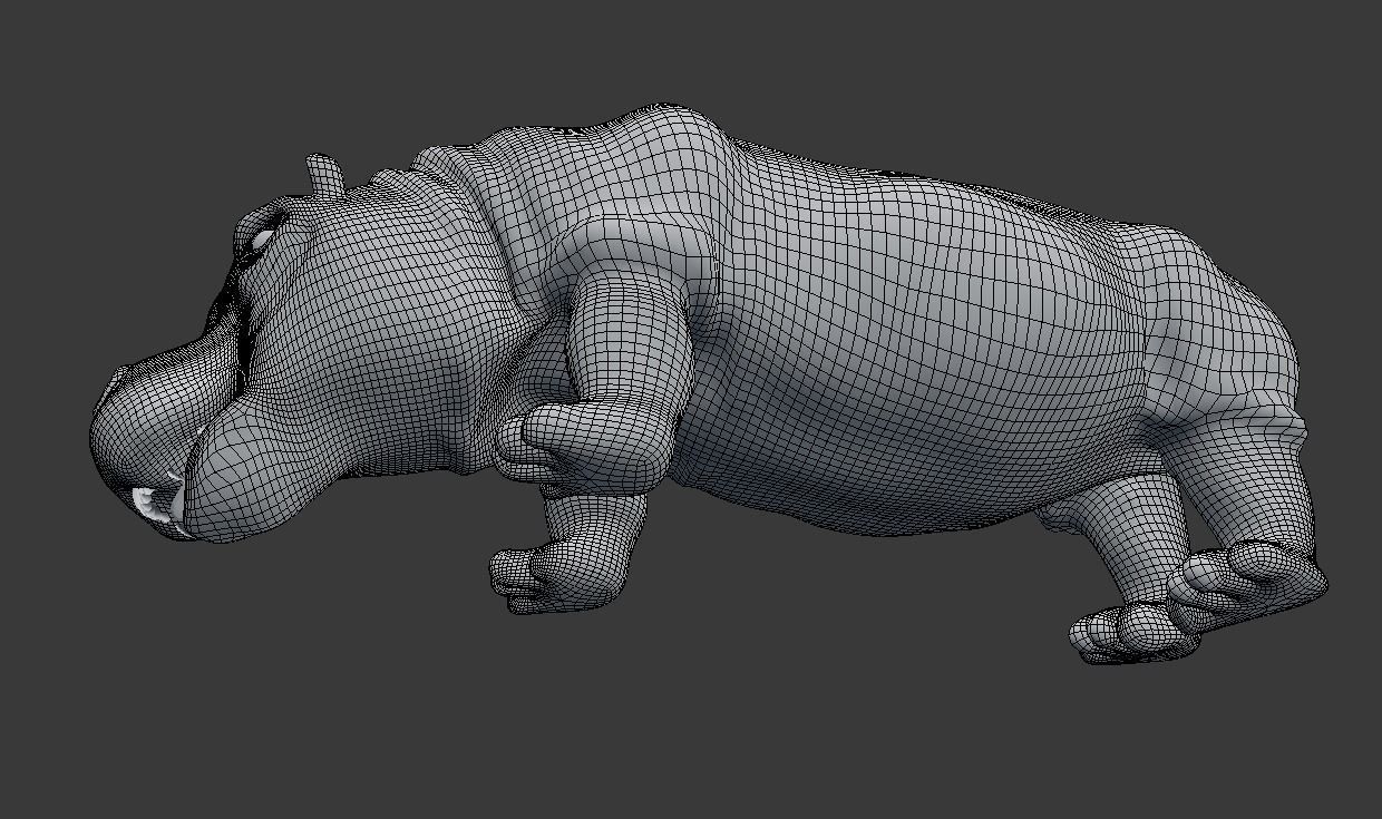 hippopotamus 3d hippo 3D model_17