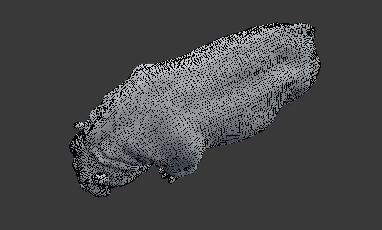hippopotamus 3d hippo 3D model_11