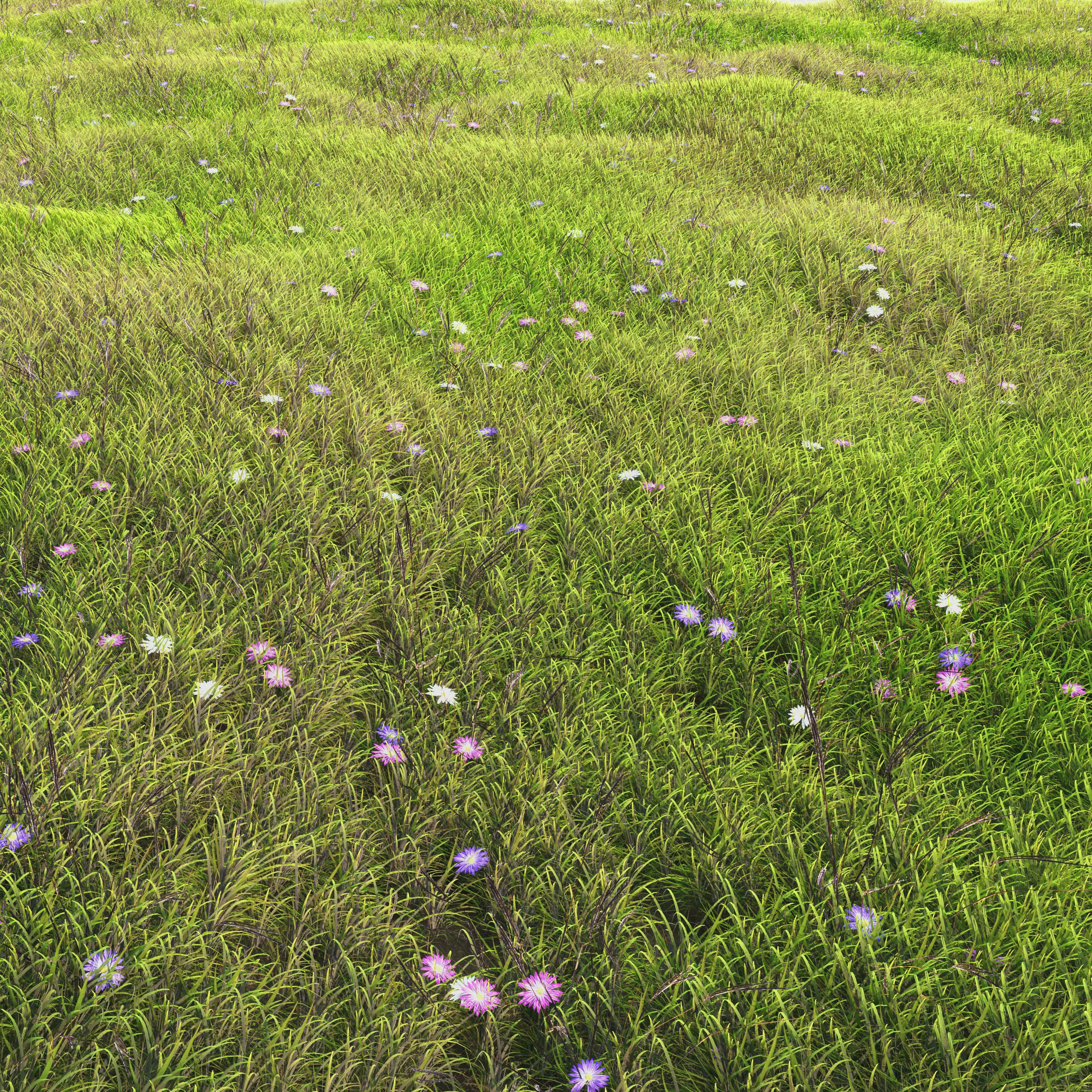arch grass 05 3D model_0