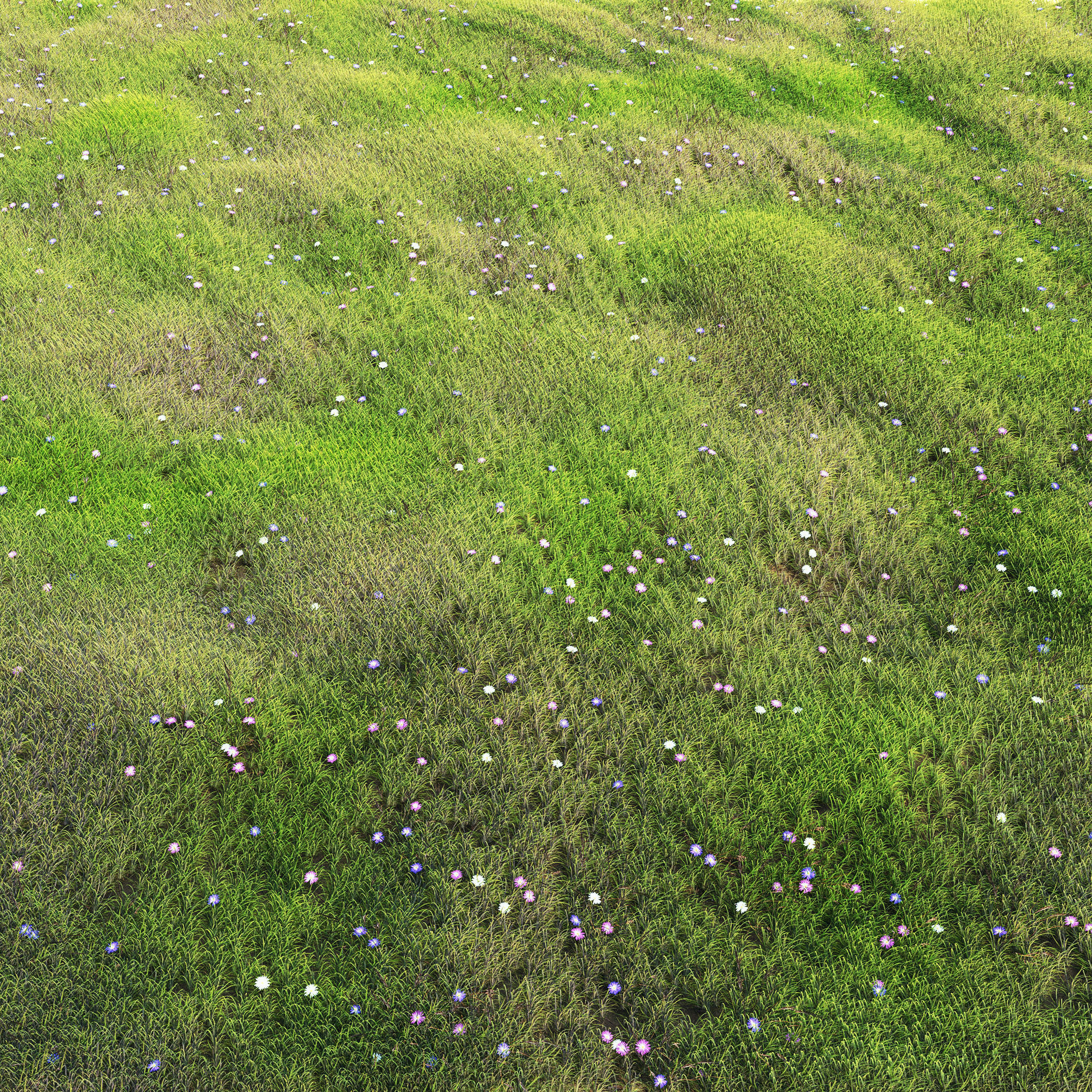 arch grass 05 3D model_1