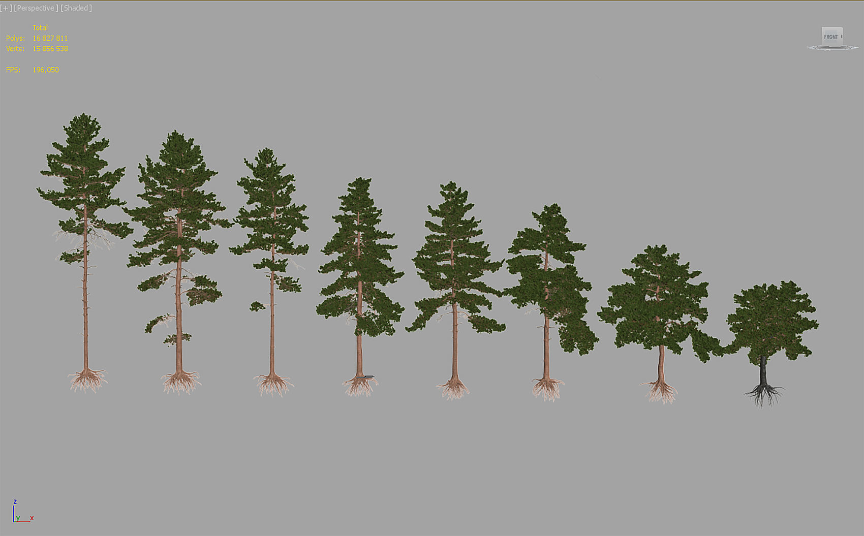 Pinus Sylvestris Pack 02 3D model_8