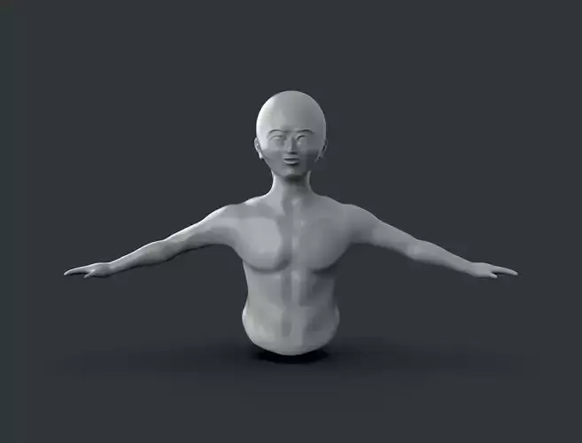 Male upper body - Basic rigging 3D model