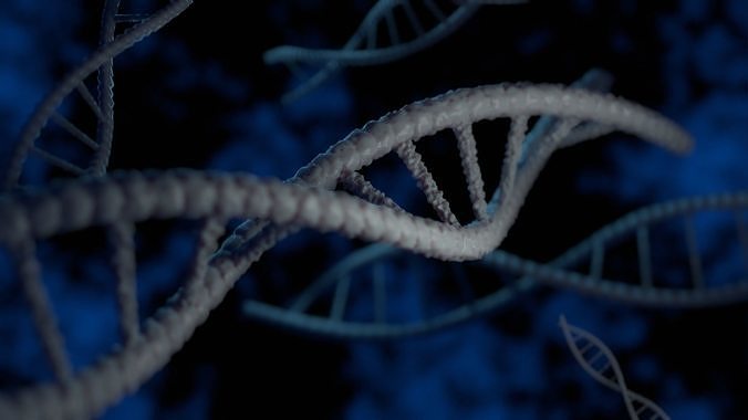 Stylized DNA Double Helix 3D model