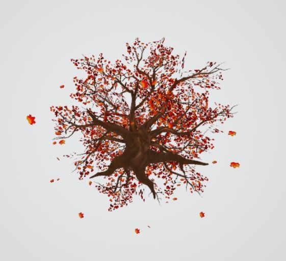 maple autumn tree Free 3D model_3