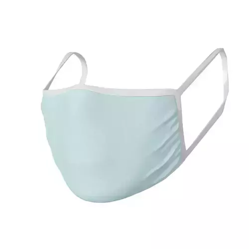 Face mask protection