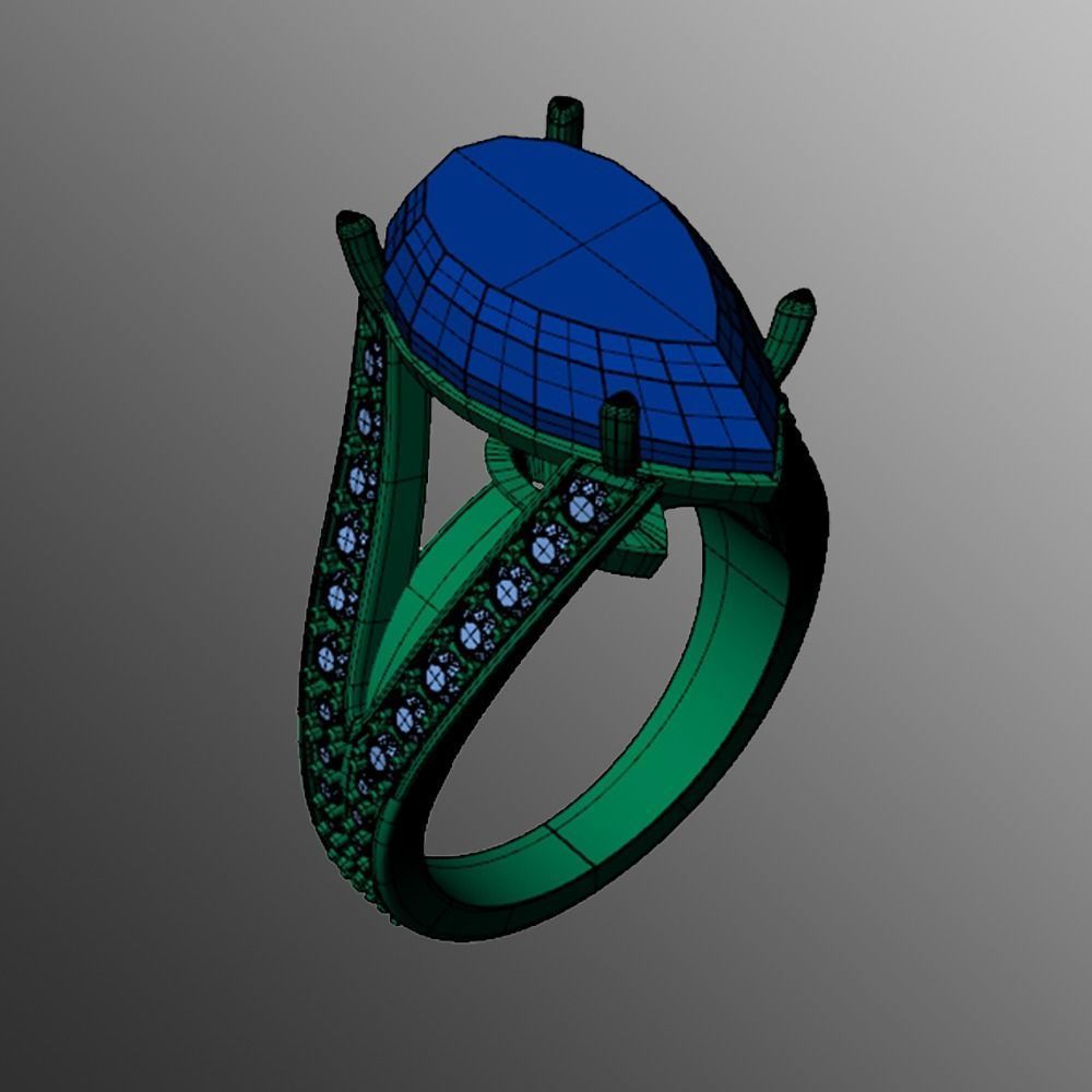 Ring pl8 3D print model_2