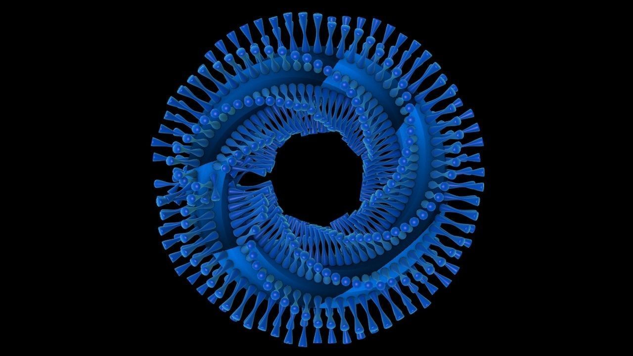 Abstract Animation 3D model_8