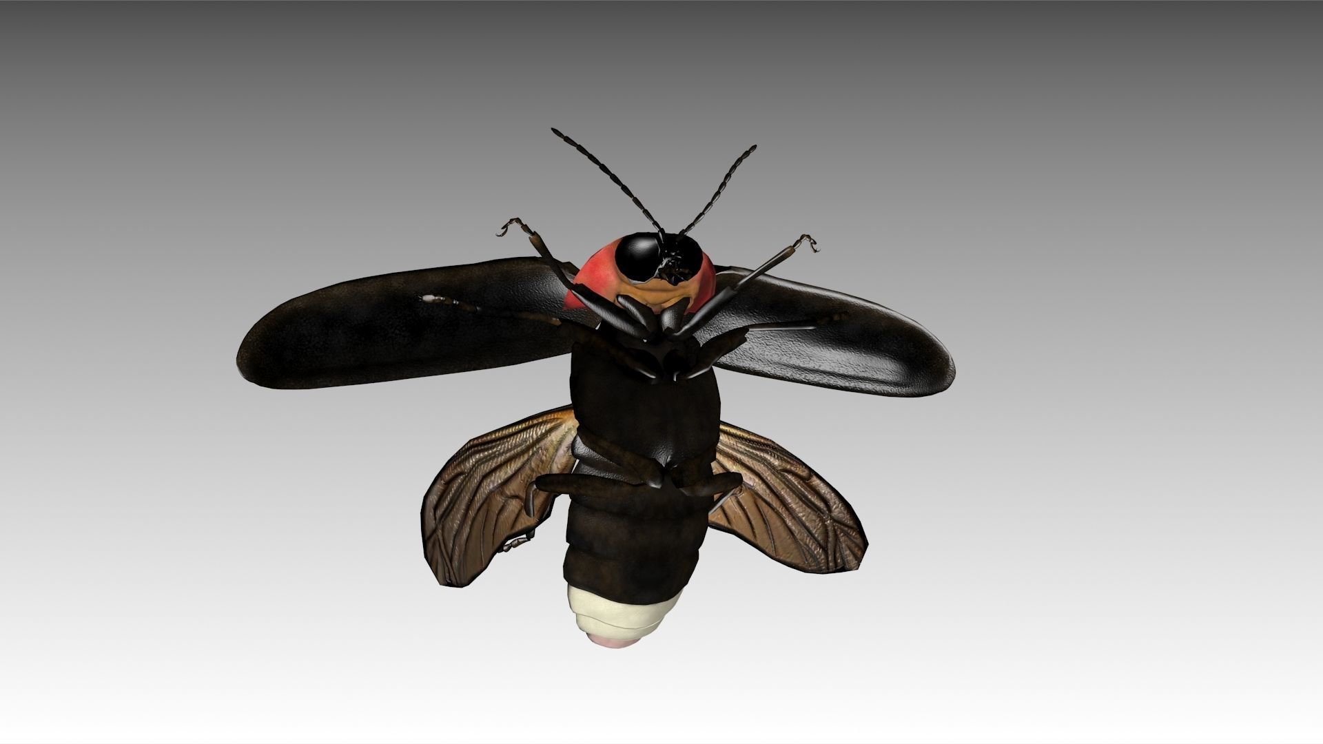 Firefly beetle flying Low-poly 3D model_10