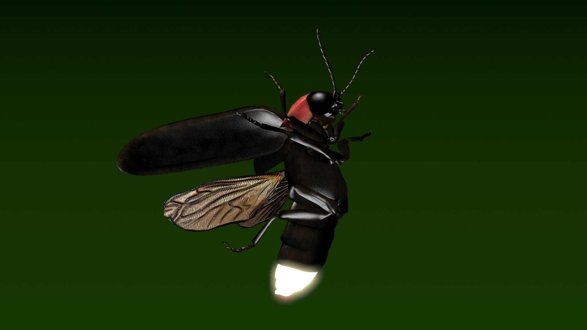 Firefly beetle flying Low-poly 3D model_3