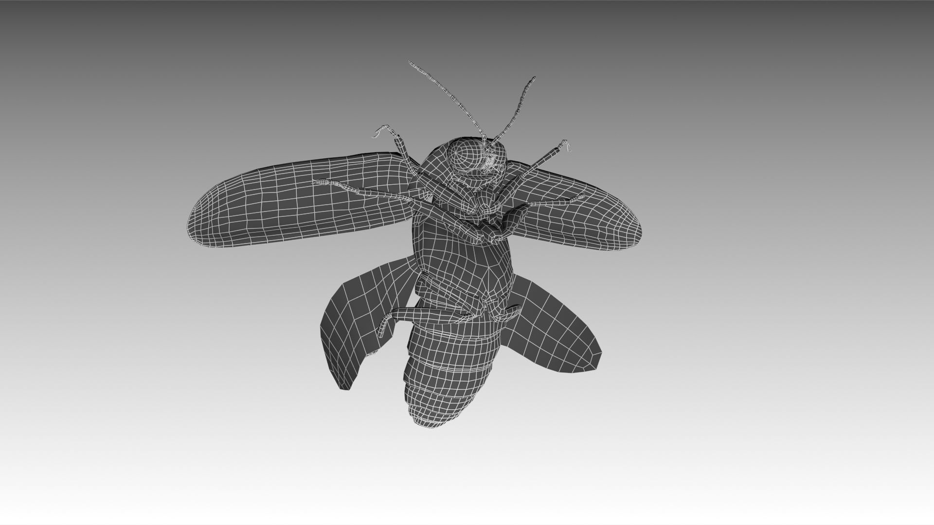 Firefly beetle flying Low-poly 3D model_13