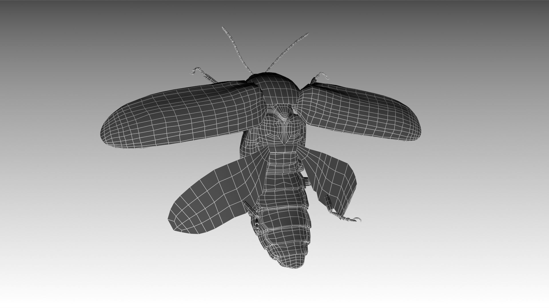 Firefly beetle flying Low-poly 3D model_14