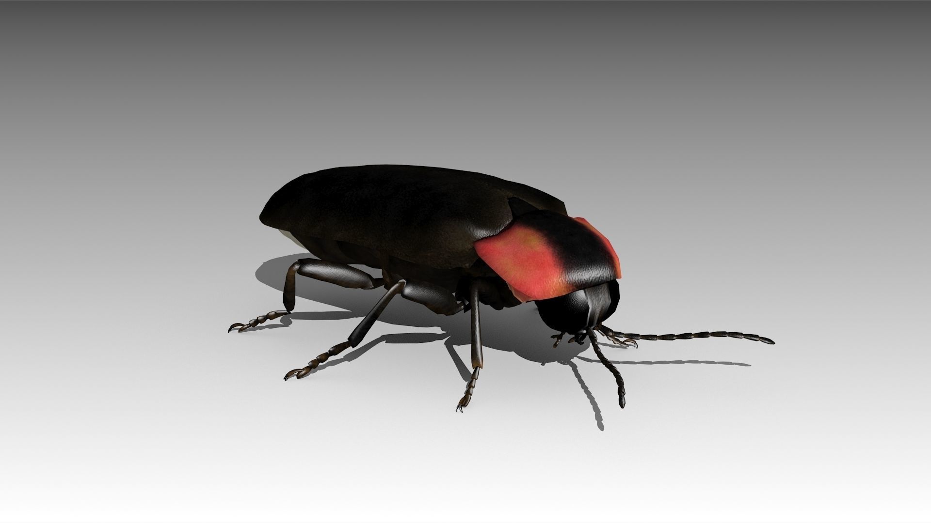 Firefly beetle flying Low-poly 3D model_5