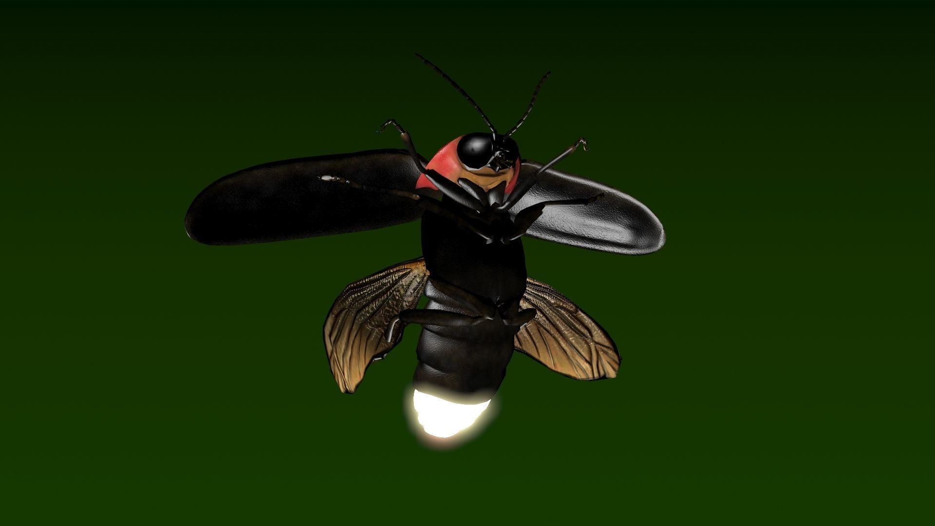 Firefly beetle flying Low-poly 3D model_2
