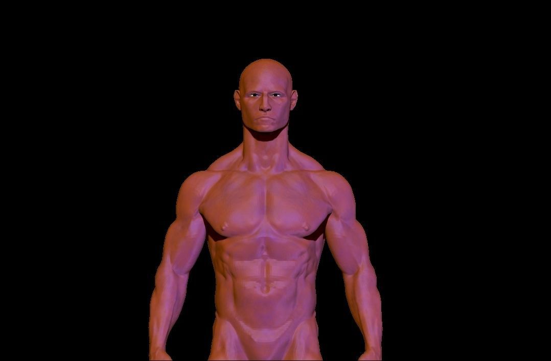 base mesh anatomy for game  Free low-poly 3D model_2