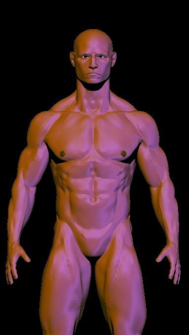 base mesh anatomy for game  Free low-poly 3D model_4