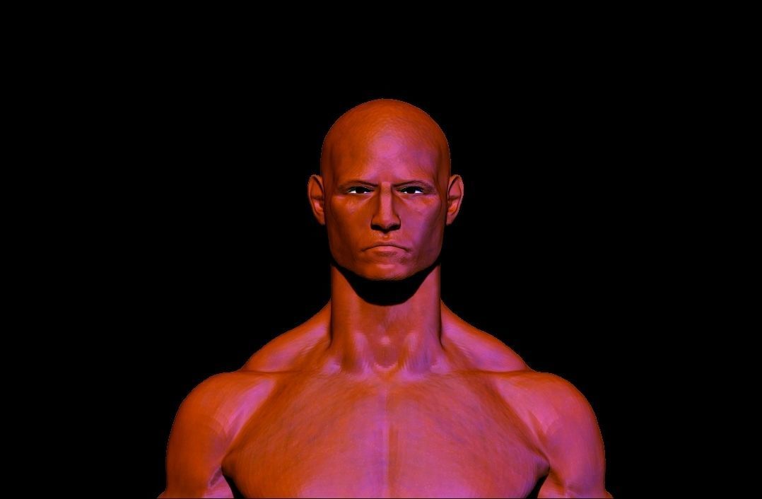 base mesh anatomy for game  Free low-poly 3D model_12