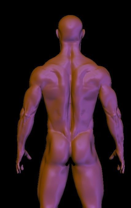 base mesh anatomy for game  Free low-poly 3D model_3