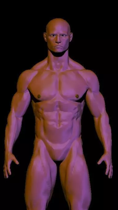 base mesh anatomy for game  Free low-poly 3D model_0