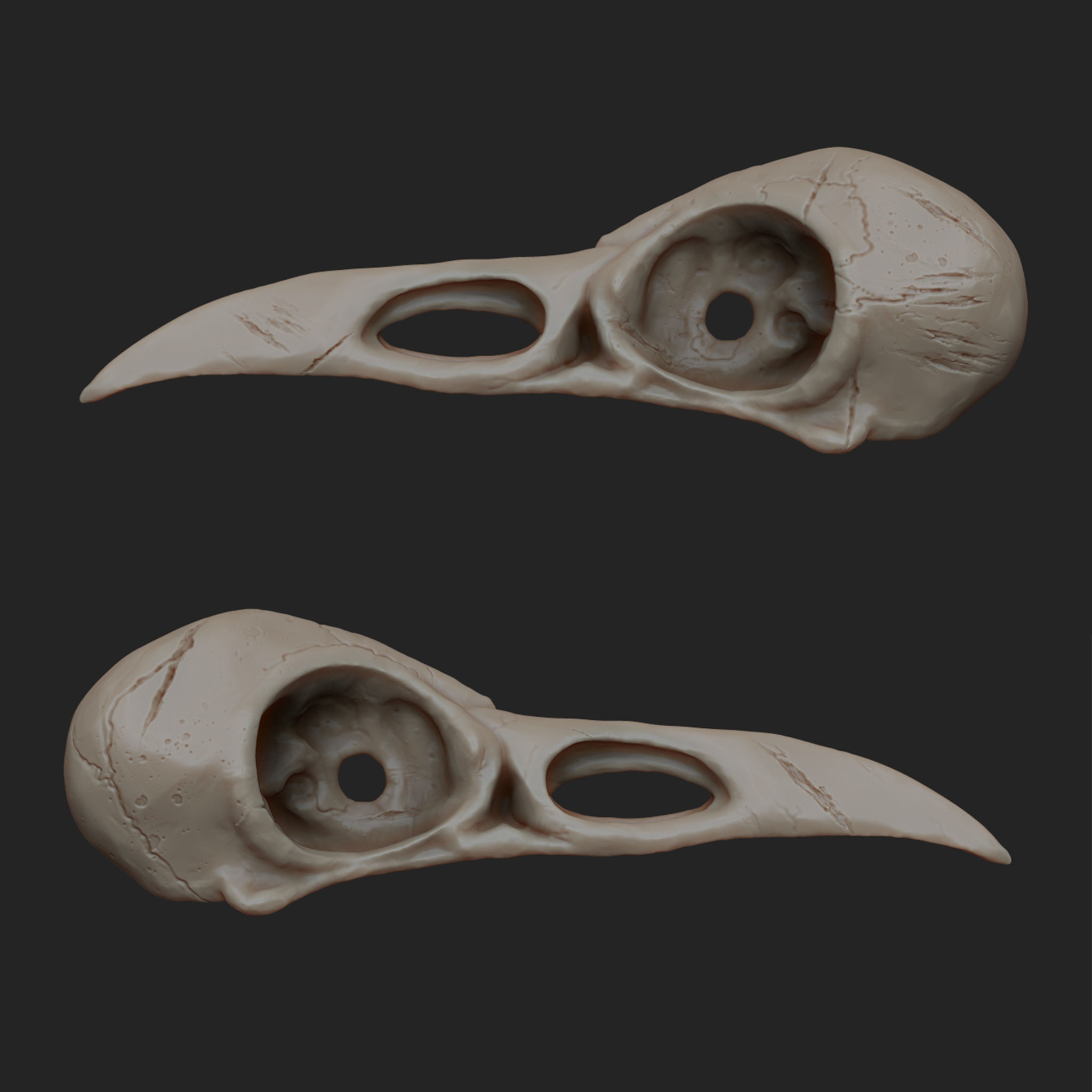 Raven Skull Low-poly 3D model_2