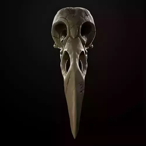 Raven Skull Low-poly 3D model