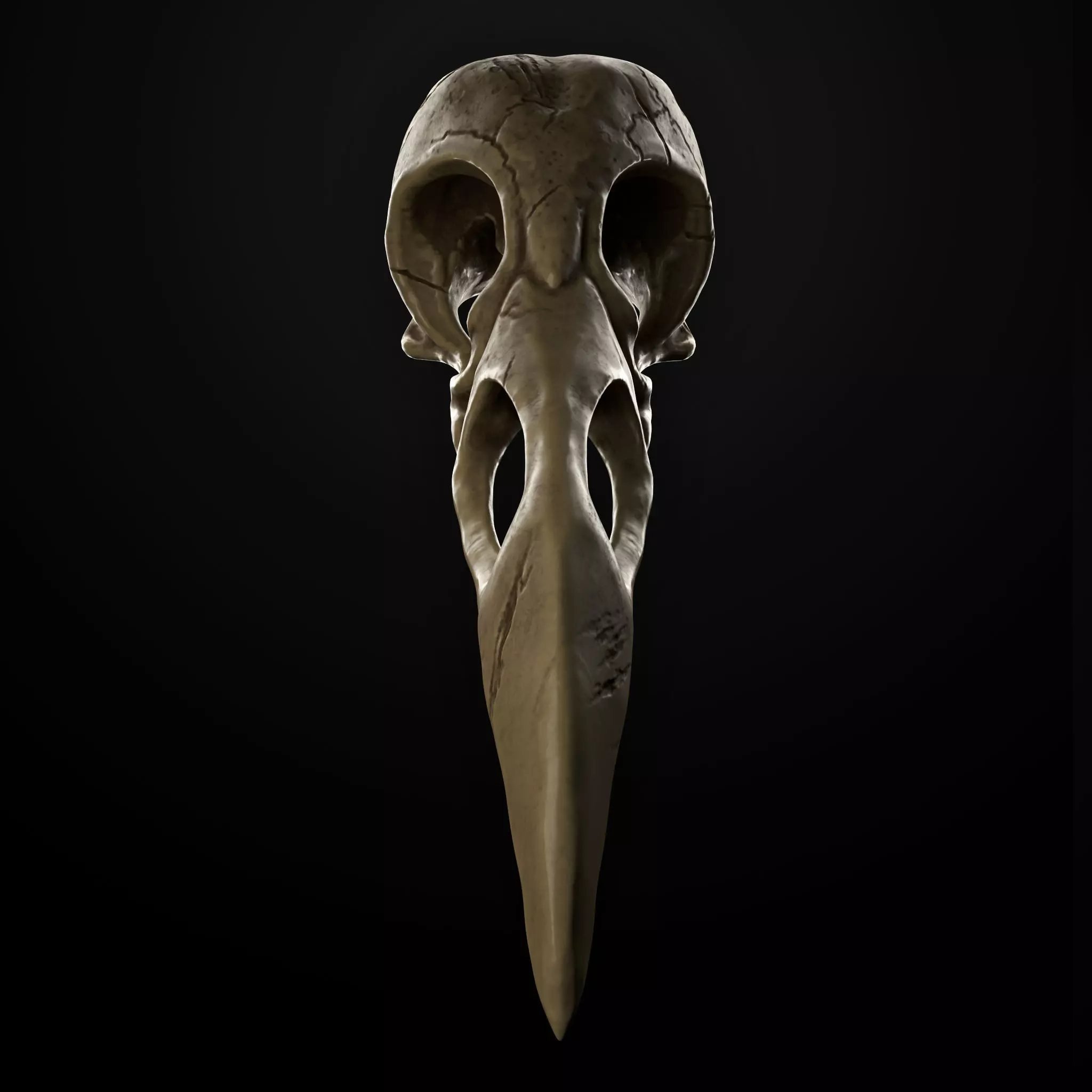 Raven Skull Low-poly 3D model_0