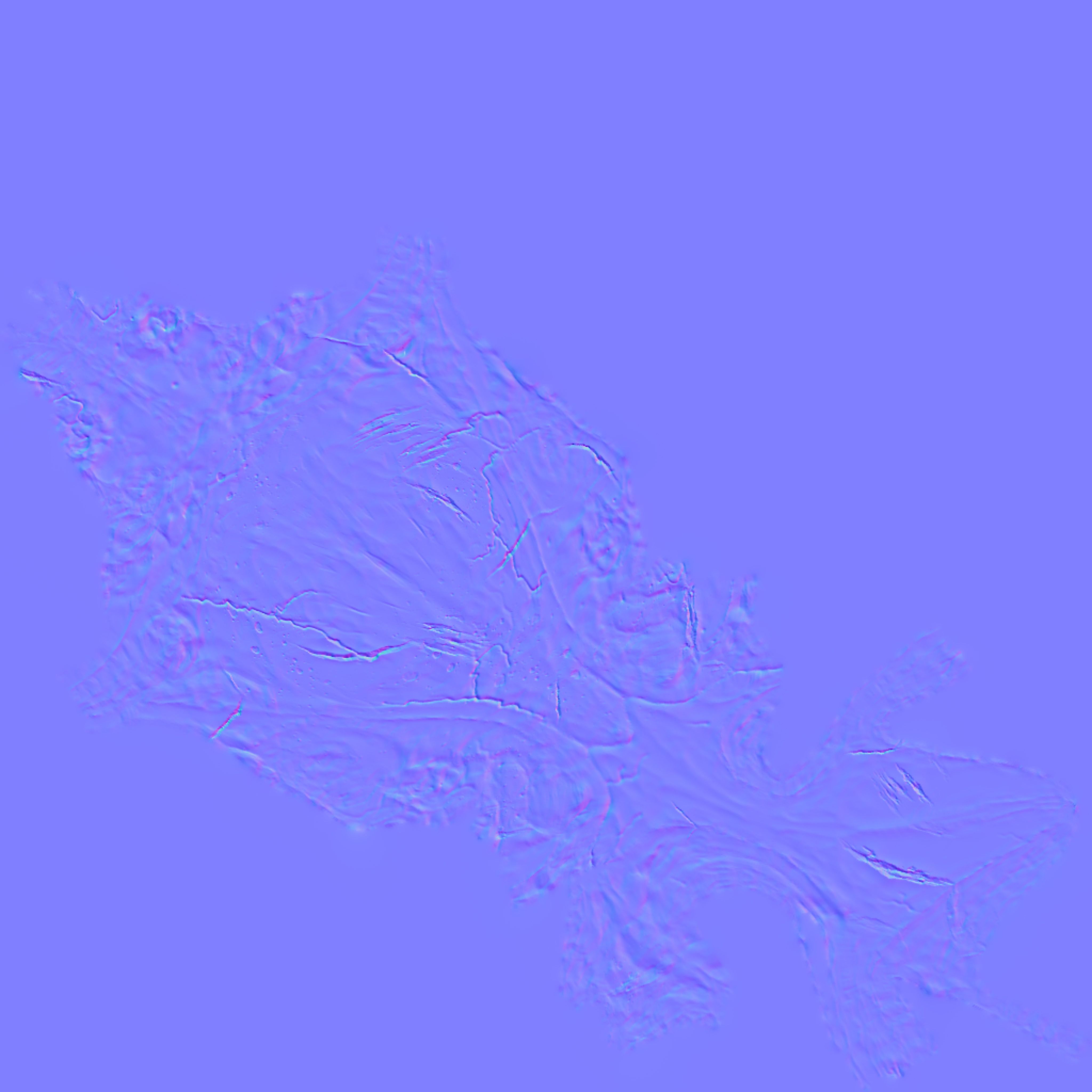 Raven Skull Low-poly 3D model_6