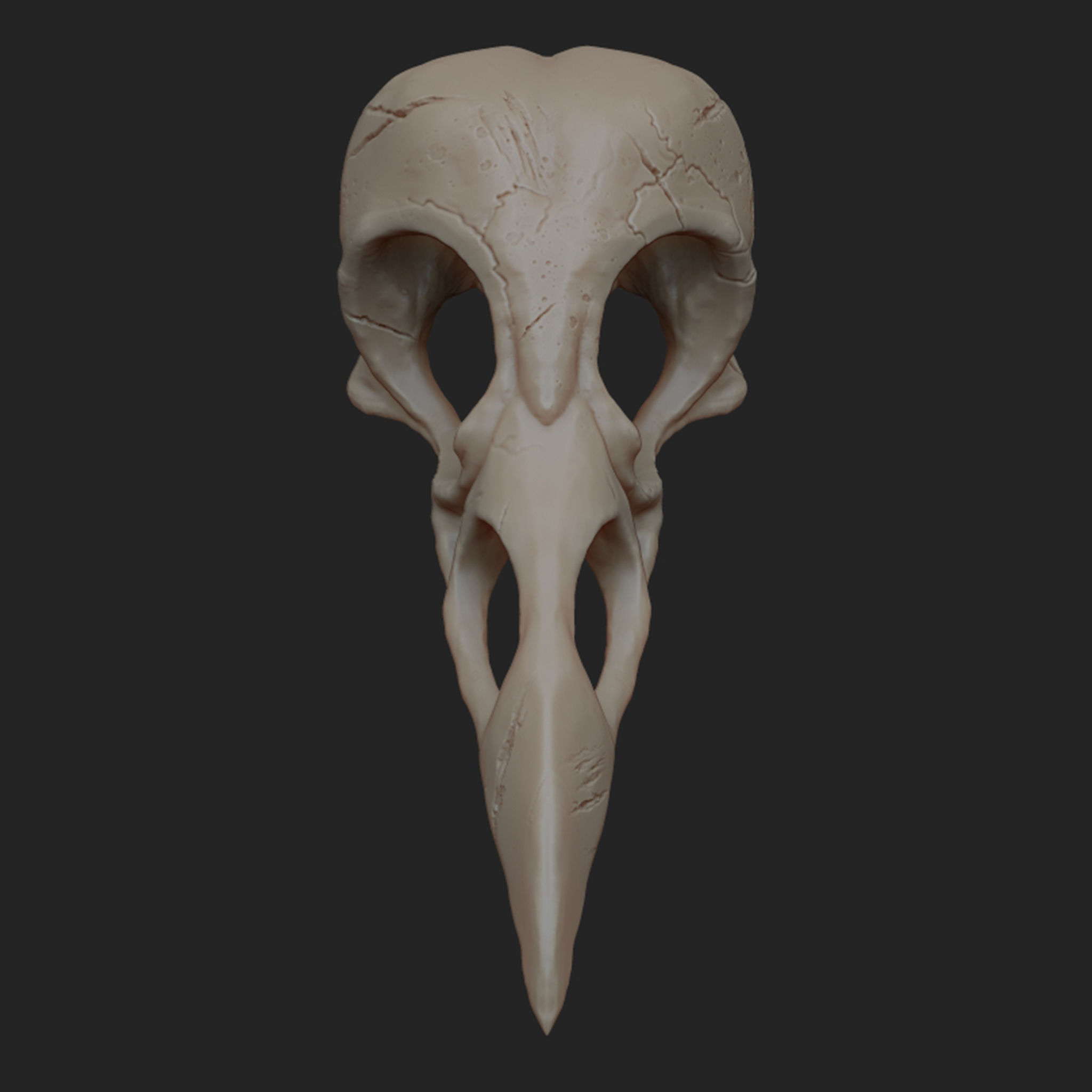 Raven Skull Low-poly 3D model_3