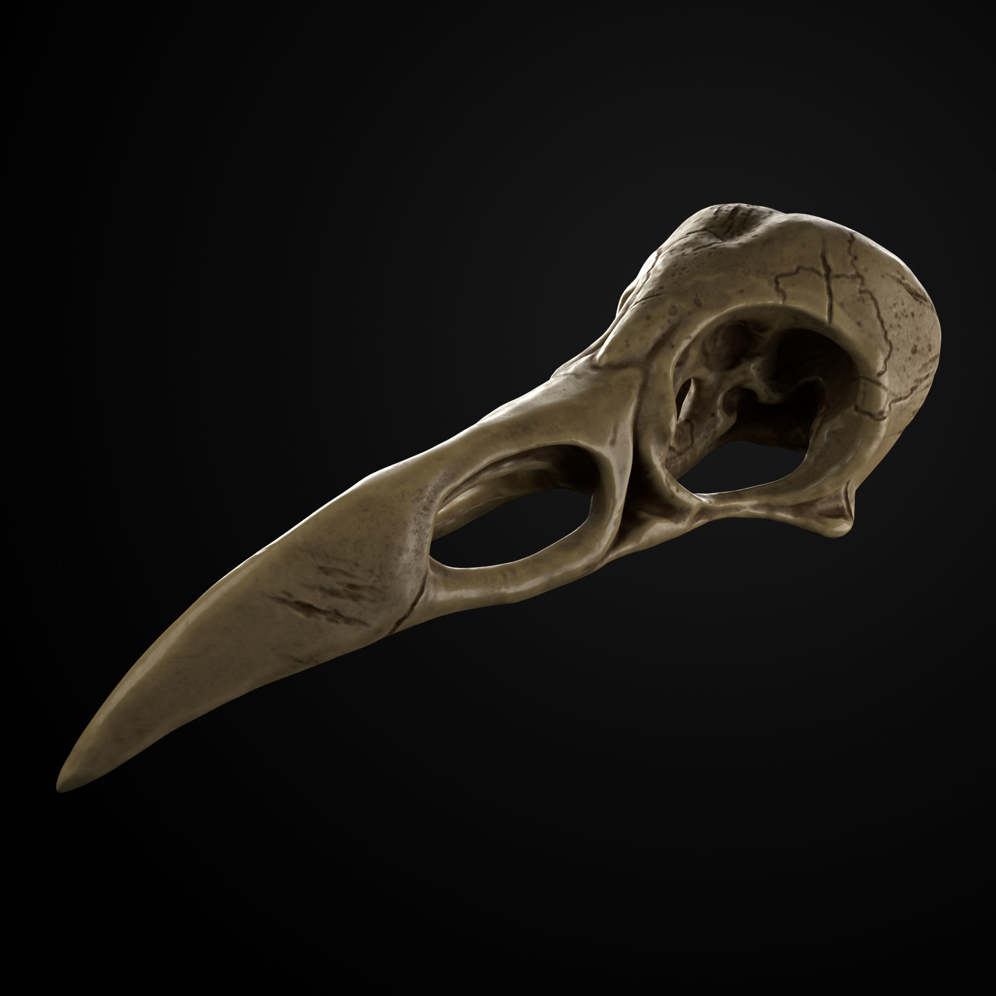 Raven Skull Low-poly 3D model_1