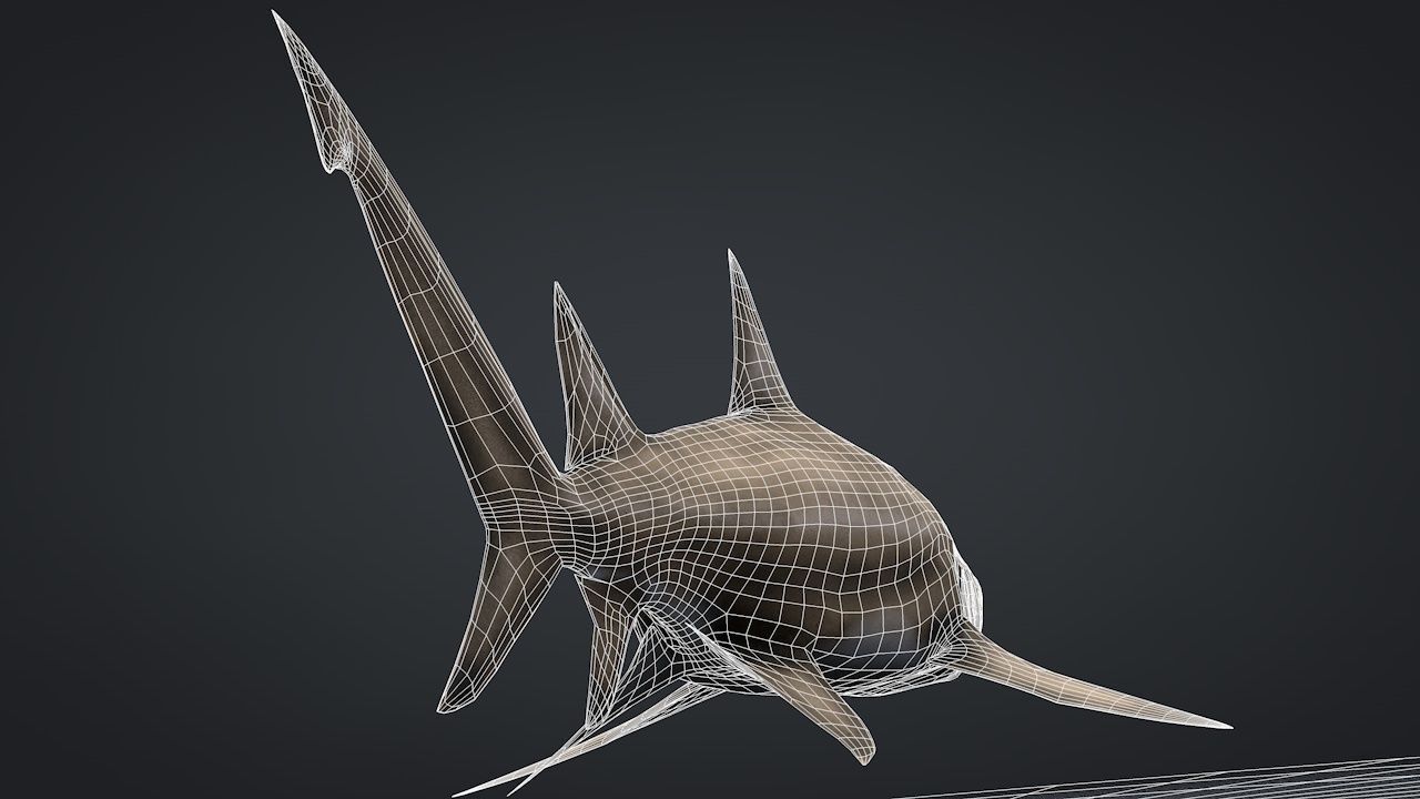 Lemon Shark Low-poly 3D model_23