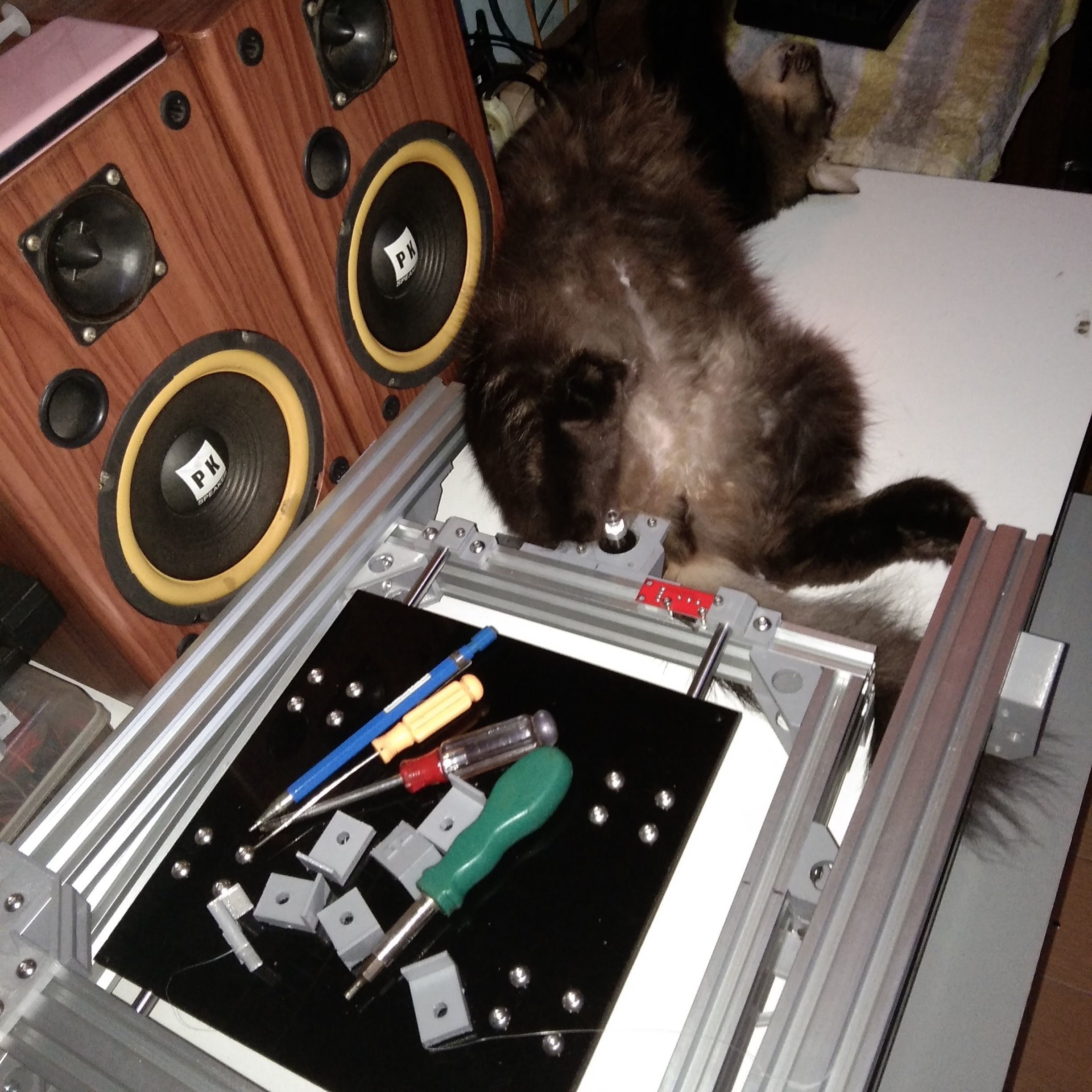 ANET AM8 UNDERCOVER REMASTERED 3D print model_9