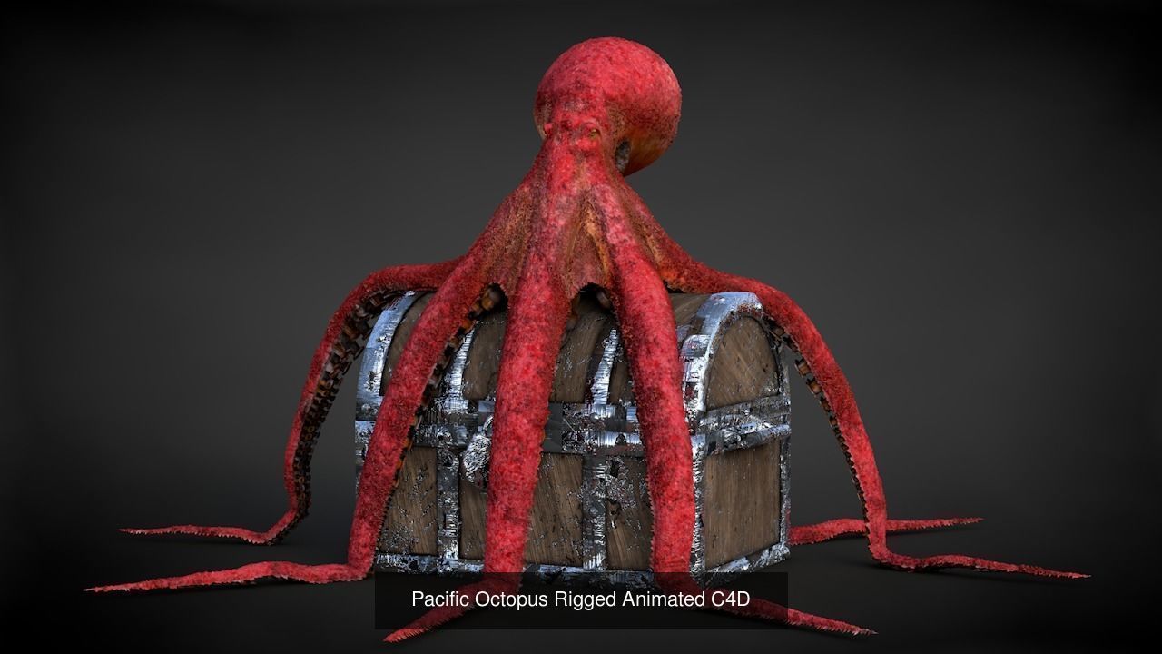 Marine Life Models 3D Model Collection_14